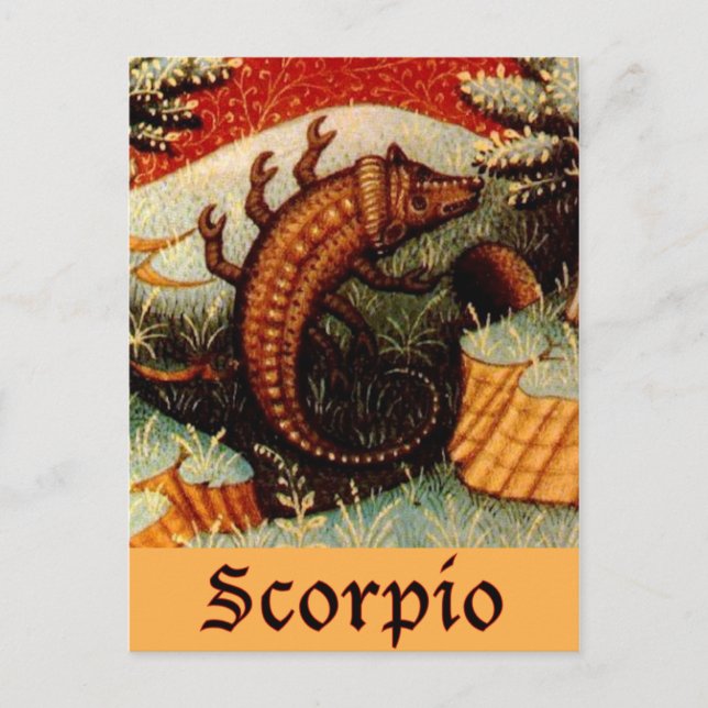 Scorpio Zodiac-tecken Vykort (Framsida)
