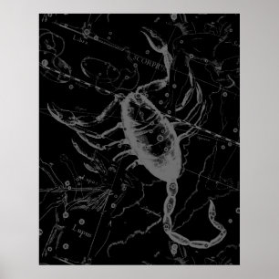 Scorpiokonstellation Hevelius 1690 på svart Poster