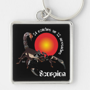 Scorpion 24 octobre au 22 novembre Porte-clés Fyrkantig Silverfärgad Nyckelring