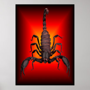 SCORPION AV KRIG POSTER