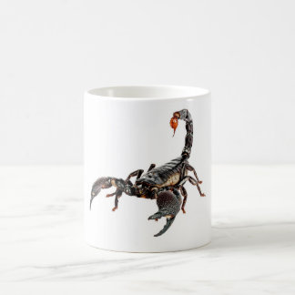 Scorpion. Kaffemugg