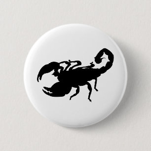Scorpion Knapp