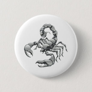 scorpion knapp
