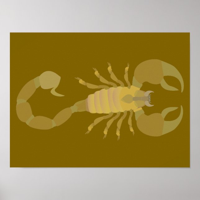 Scorpion Poster (Framsidan)
