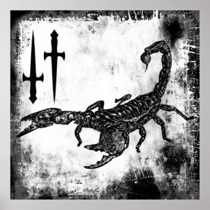 Scorpion Poster