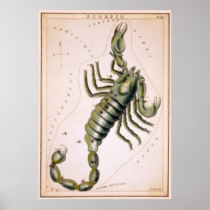 SCORPION SKOPIO-KONSTELLATION 1825 POSTER