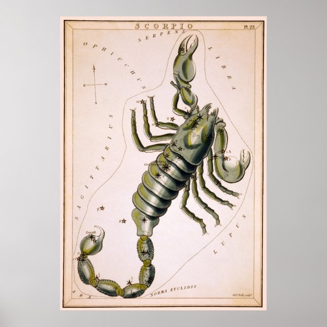 SCORPION SKOPIO-KONSTELLATION 1825 POSTER (Framsidan)