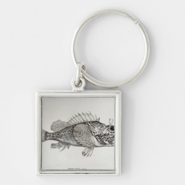 Scorpionfisk Fyrkantig Silverfärgad Nyckelring (Framsidan)
