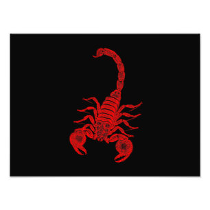 Scorpions för illustration för fototryck