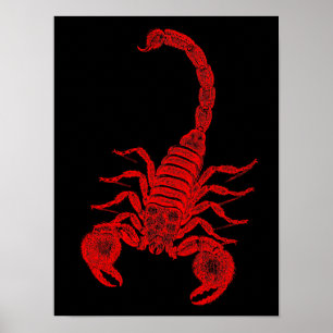 Scorpions för illustration för poster