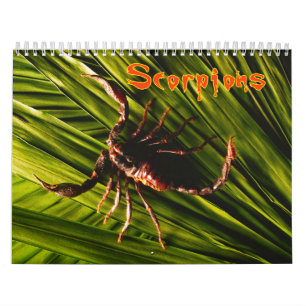Scorpionsväggkalender Kalender