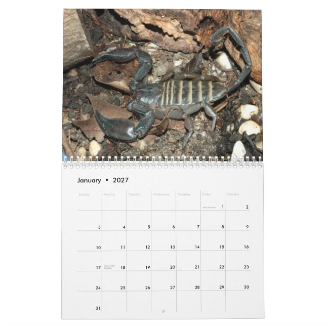 Scorpionsväggkalender Kalender (Jan 2027)