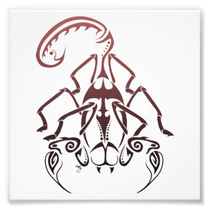 Scorpiontryck Fototryck