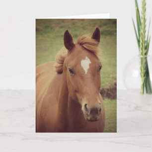 Scotch A Horse, födelsedagen Kort