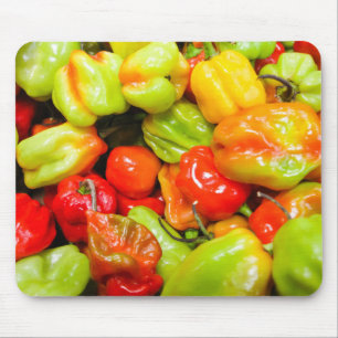 Scotch Bonnet Chillies Musmatta