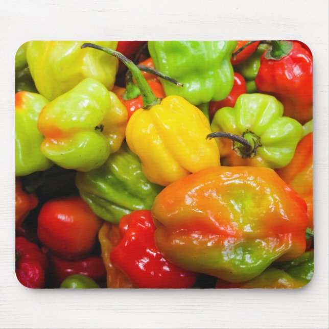 Scotch Bonnet Chillies Musmatta (Framsidan)