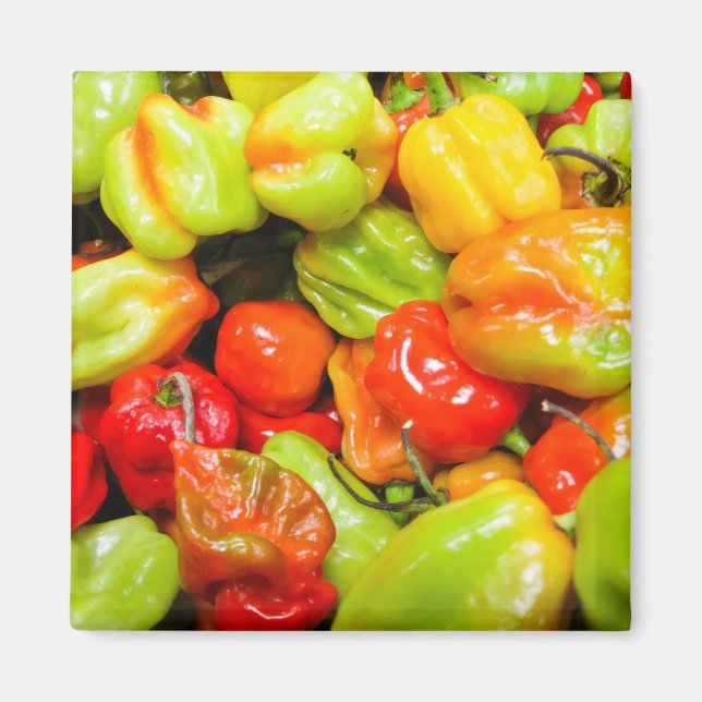 Scotch Bonnet Magnet (Framsidan)