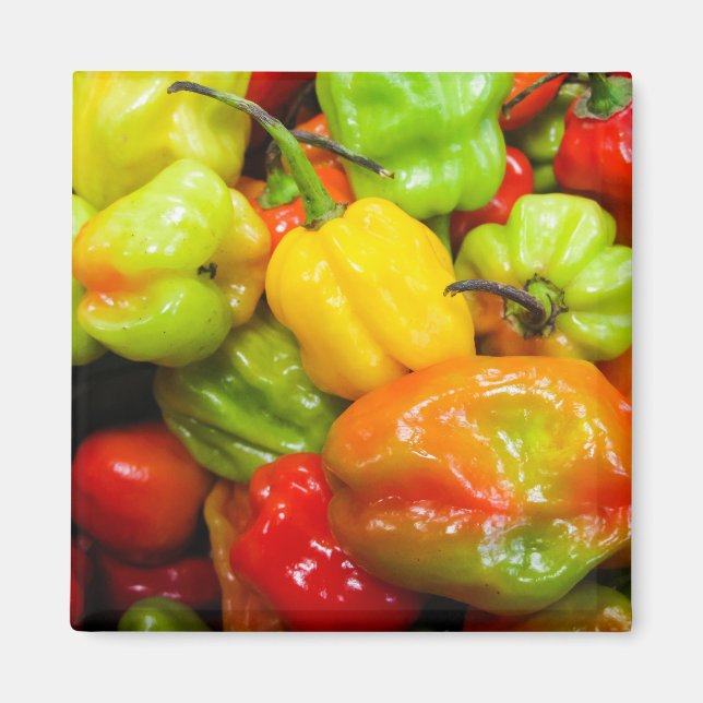 Scotch Bonnet Magnet (Framsidan)