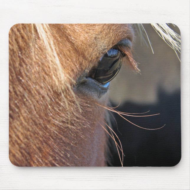 Scotch Extreme Closeup Musmatta (Framsidan)