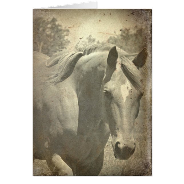 Scotch Faux Vintage Hälsningskort (Framsidan)