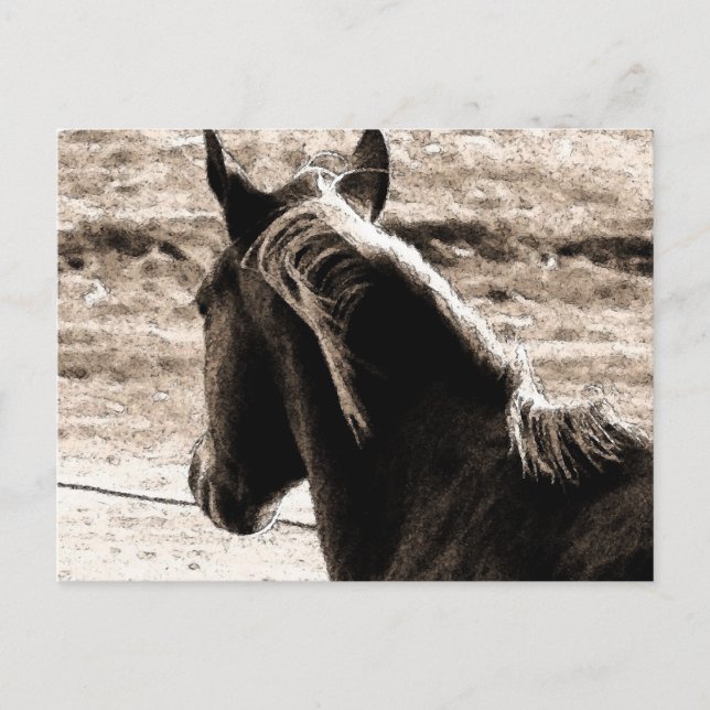 Scotch in Brown Tones Vykort (Framsida)