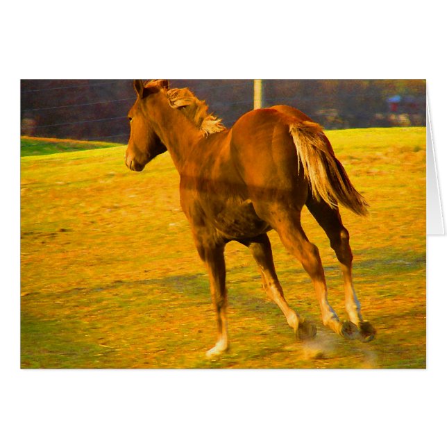 Scotch Springa~ Oljemålning Hälsningskort (Framsidan Horizontal)