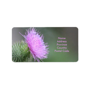 Scotch Thistle-etikett Adressetikett