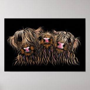 SCoTiSH HigHLaND CoWS ' THe McDouGHNuTS ' Poster