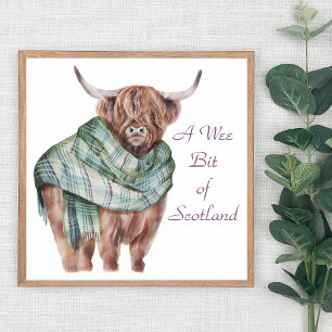 Scotland Highland Cow i Tartan Play Animal Art Poster