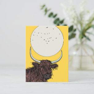 Scotland Highland Cow Vykort