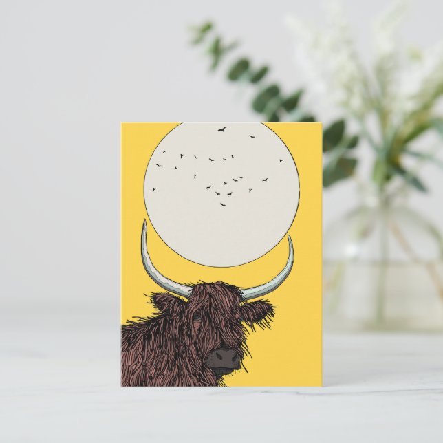 Scotland Highland Cow Vykort (Stående Fram)