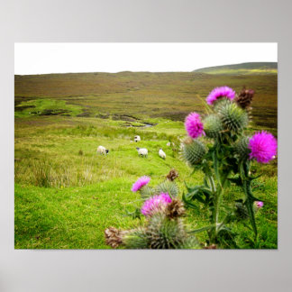 Scotland Highlands Thistle Ligcape Poster