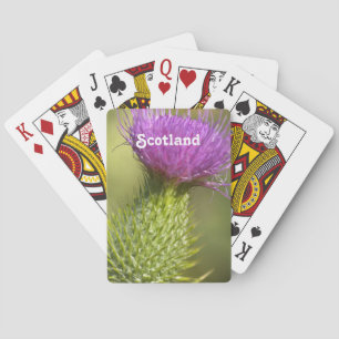 Scotland Thistle Kortlek