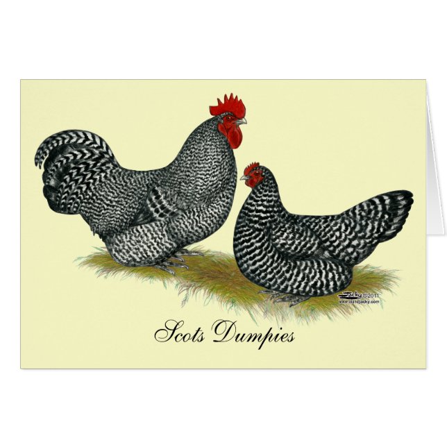 Scots Dumpy Chickens OBS Kort (Framsidan Horizontal)