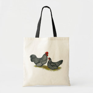 Scots Dumpy Chickens Tygkasse