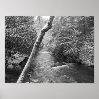 Scott Bäck Poster