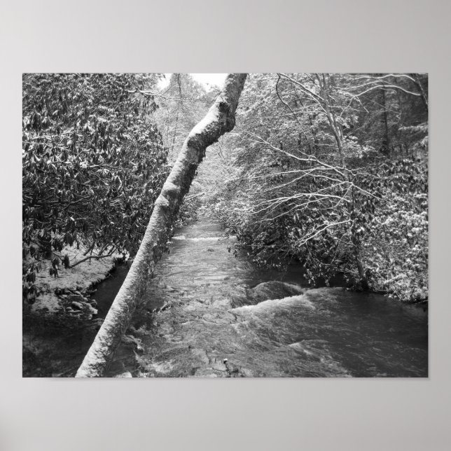 Scott Bäck Poster (Framsidan)