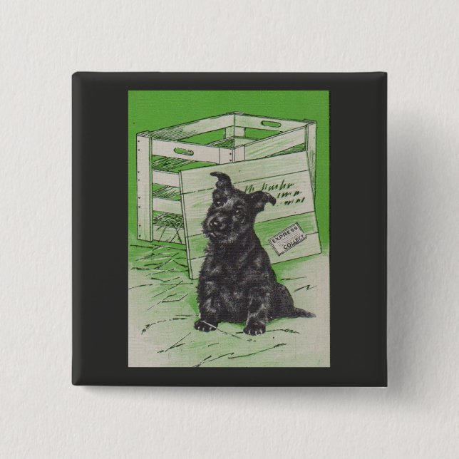 Scottie hund efter speciell leverans knapp (Framsida)