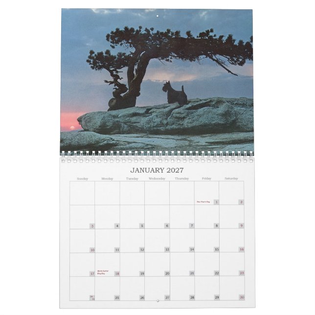 Scottie Hund Kalender (Jan 2027)