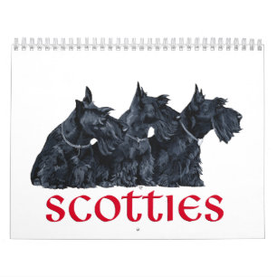 Scottie Hund Kalender