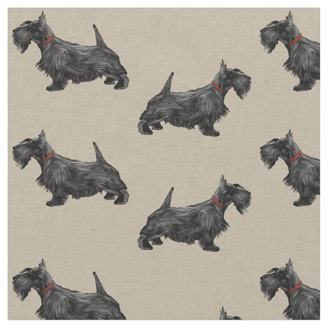 Scottie Hund med Tartan Collar Tyg (Närbild)