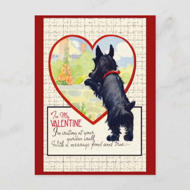 Scottie hund Valentine Scottish Terrier Helg Vykort (Framsida)