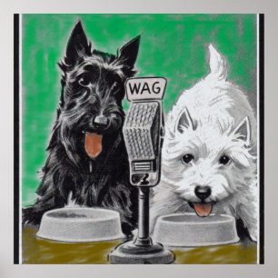 Scottie hundar Blackie och Whitie på radion Poster
