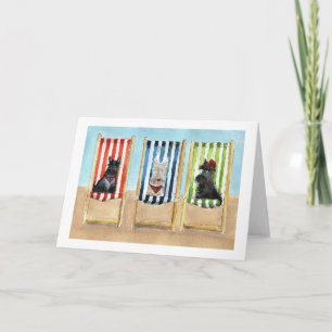 Scottie Hundar 'Deck Chairs' Greeting Card Kort