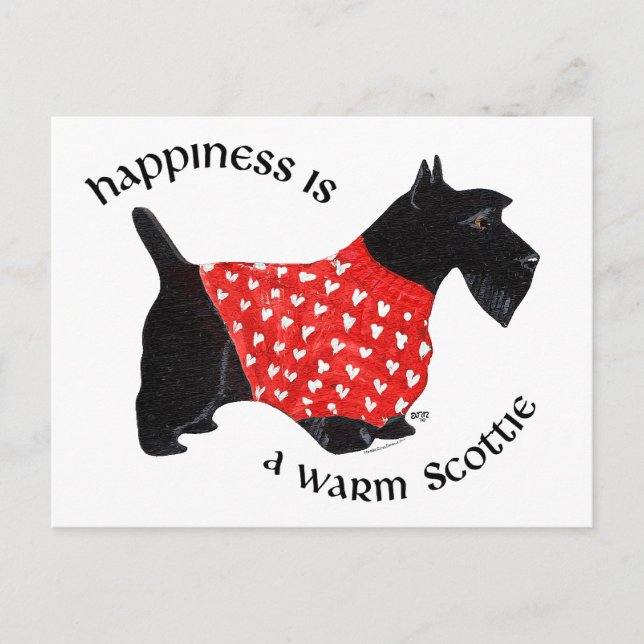 Scottie i röd rutig tröja vykort (Framsida)