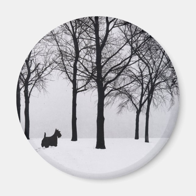 Scottie i snöiga skogar magnet (Framsidan)