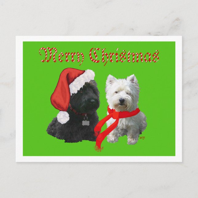 Scottie och Westie God Jul Helg Vykort (Framsida)