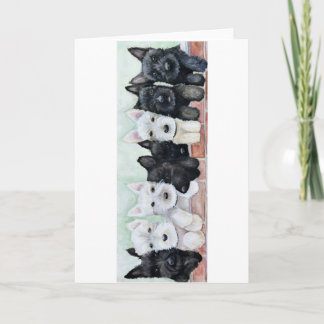 Scottie Puppies Kort
