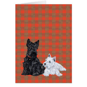 Scottie vuxen & Westie valp Hälsningskort