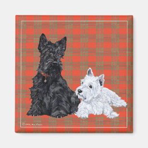 Scottie vuxen & Westie valp Magnet